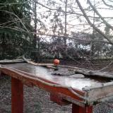 photo 2022-03-13 06-08-50