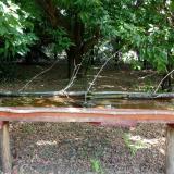 photo 2021-07-04 11-21-24