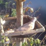 photo 2019-12-08 14-25-39