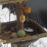 photo 2019-01-27 13-17-36