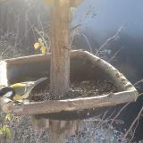 photo 2019-12-29 10-09-57