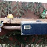 photo 2021-02-08 10-33-04