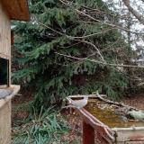 photo 2021-11-19 13-42-23