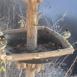 photo 2019-12-31 13-06-15