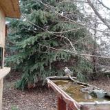 photo 2021-12-12 11-45-44