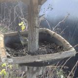 photo 2019-12-26 09-52-33