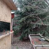 photo 2022-01-08 13-45-52