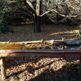 photo 2021-10-24 16-03-57