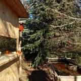 photo 2021-12-31 11-55-00