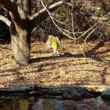 photo 2021-10-27 15-07-53 szencinege