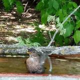 photo 2021-05-21 15-37-25 rigo