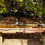 photo 2021-10-12 12-26-25