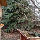 photo 2021-12-16 12-54-33