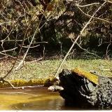 photo 2021-03-11 10-33-18 2