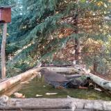 photo 2023-10-14 07-59-48