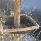 photo 2019-12-30 13-14-48