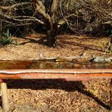 photo 2021-10-27 10-34-17