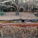 photo 2021-10-26 08-10-56