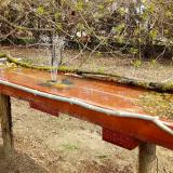 photo 2021-04-02 11-01-55