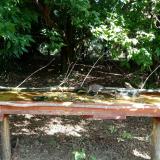 photo 2021-08-04 10-17-11