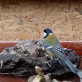 photo 2022-01-31 10-33-11 cinke