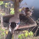 photo 2019-12-12 12-59-26