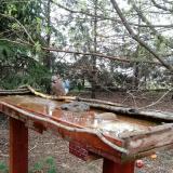 photo 2022-03-31 08-41-43