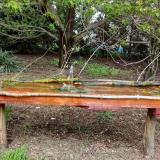 photo 2021-04-19 12-43-27