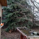 photo 2021-12-14 14-35-06