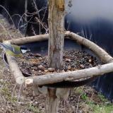 photo 2019-01-03 12-04-33