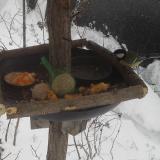 photo 2019-01-23 09-44-26