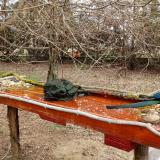 photo 2021-03-18 10-50-22