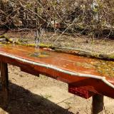 photo 2021-04-01 12-22-13