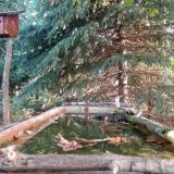 hegyi fakusz 2023-10-01 08-04-46