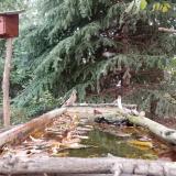 photo 2023-10-08 12-25-04