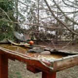 photo 2022-03-17 09-23-11