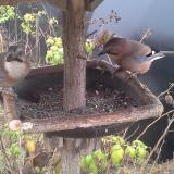 photo 2019-12-12 13-01-23