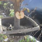 photo 2019-12-03 10-18-14