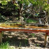 photo 2021-04-26 08-53-56