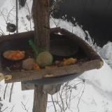 photo 2019-01-23 09-13-23