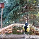 photo 2023-10-07 08-28-00