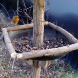 photo 2019-01-03 15-40-39