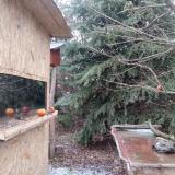 photo 2021-12-28 14-29-50