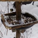 photo 2019-01-06 10-28-01