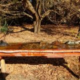 photo 2021-10-27 11-00-29