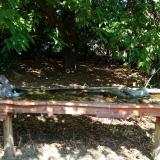 photo 2021-09-26 11-47-47