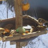 photo 2019-01-27 09-52-58