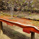 photo 2021-04-03 13-16-47