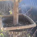 photo 2019-12-26 11-51-56