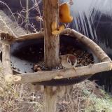 photo 2019-02-08 09-40-35